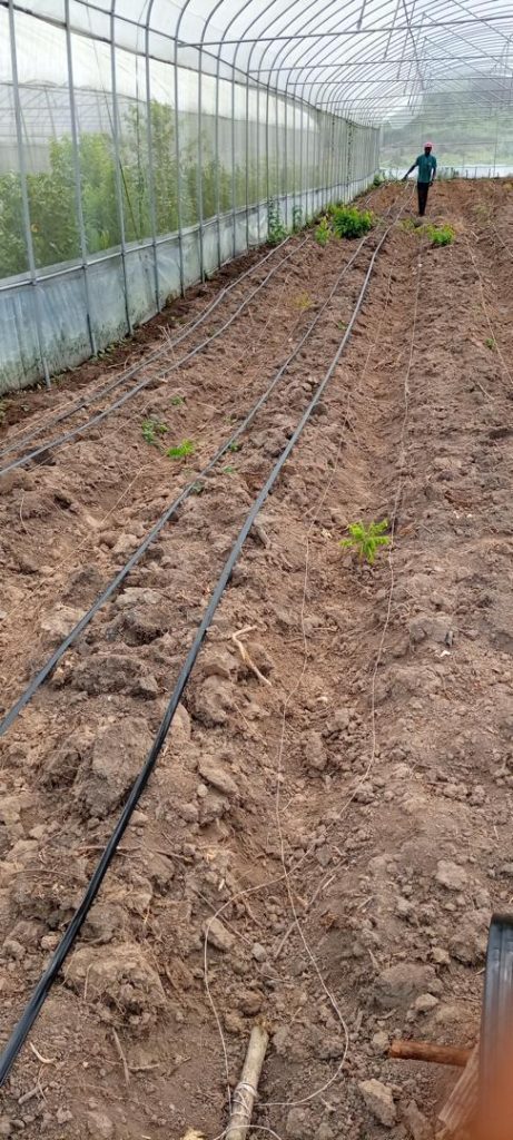 PHOTO-2024-11-27-16-10-48 (14)