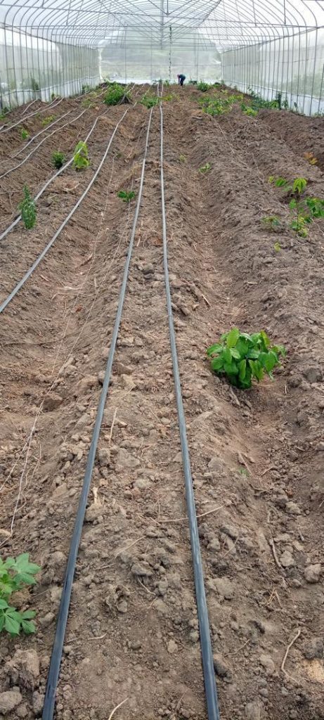 PHOTO-2024-11-27-16-10-48 (3)